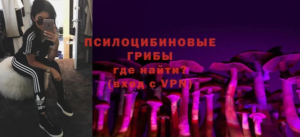 сатива Алзамай