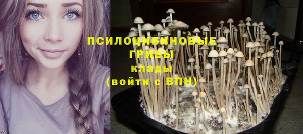 стафф Алексин