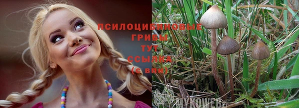 COCAINE Алексеевка