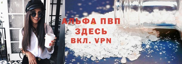 стафф Алексин