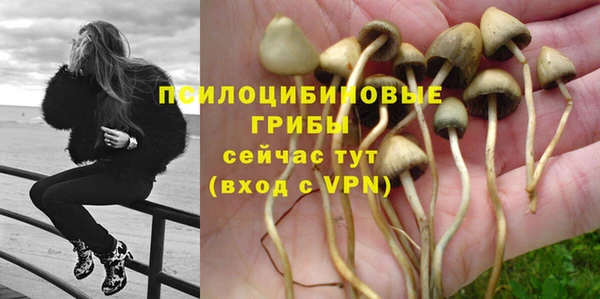 стафф Алексин