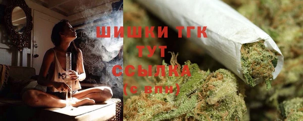 сатива Алзамай