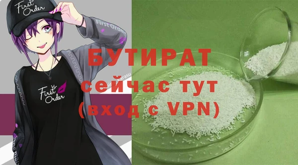 индика Новодвинск