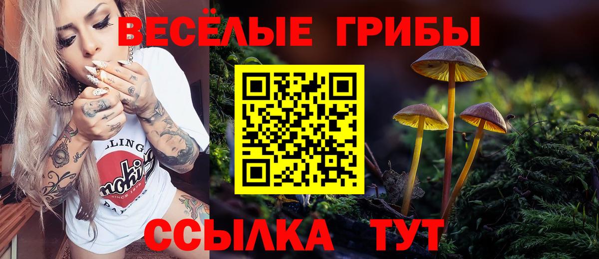 Псилоцибиновые грибы мицелий Нижний Новгород