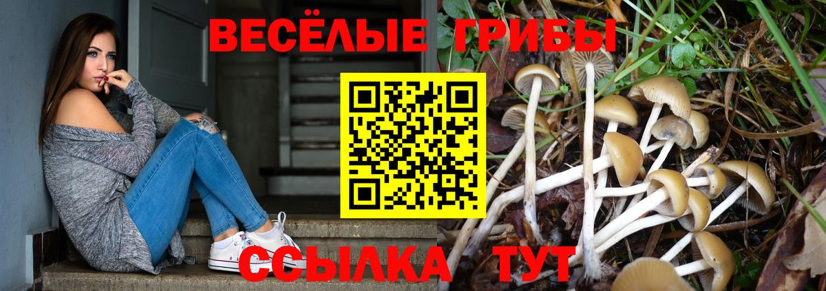 Псилоцибиновые грибы мухоморы  Вход с VPN  Нижний Новгород  как найти закладки  Псилоцибиновые грибы Magic Shrooms 
